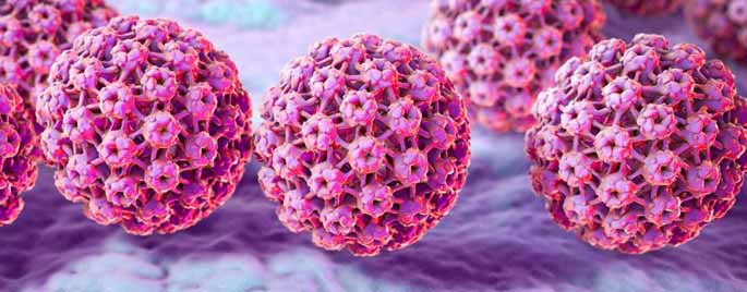 Dr. Yeung Ho Hong(楊浩康) explains HPV Vaccine(子宮頸癌疫苗)